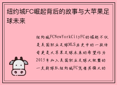 纽约城FC崛起背后的故事与大苹果足球未来 纽约城FC崛起背后的故事与大苹果足球未来